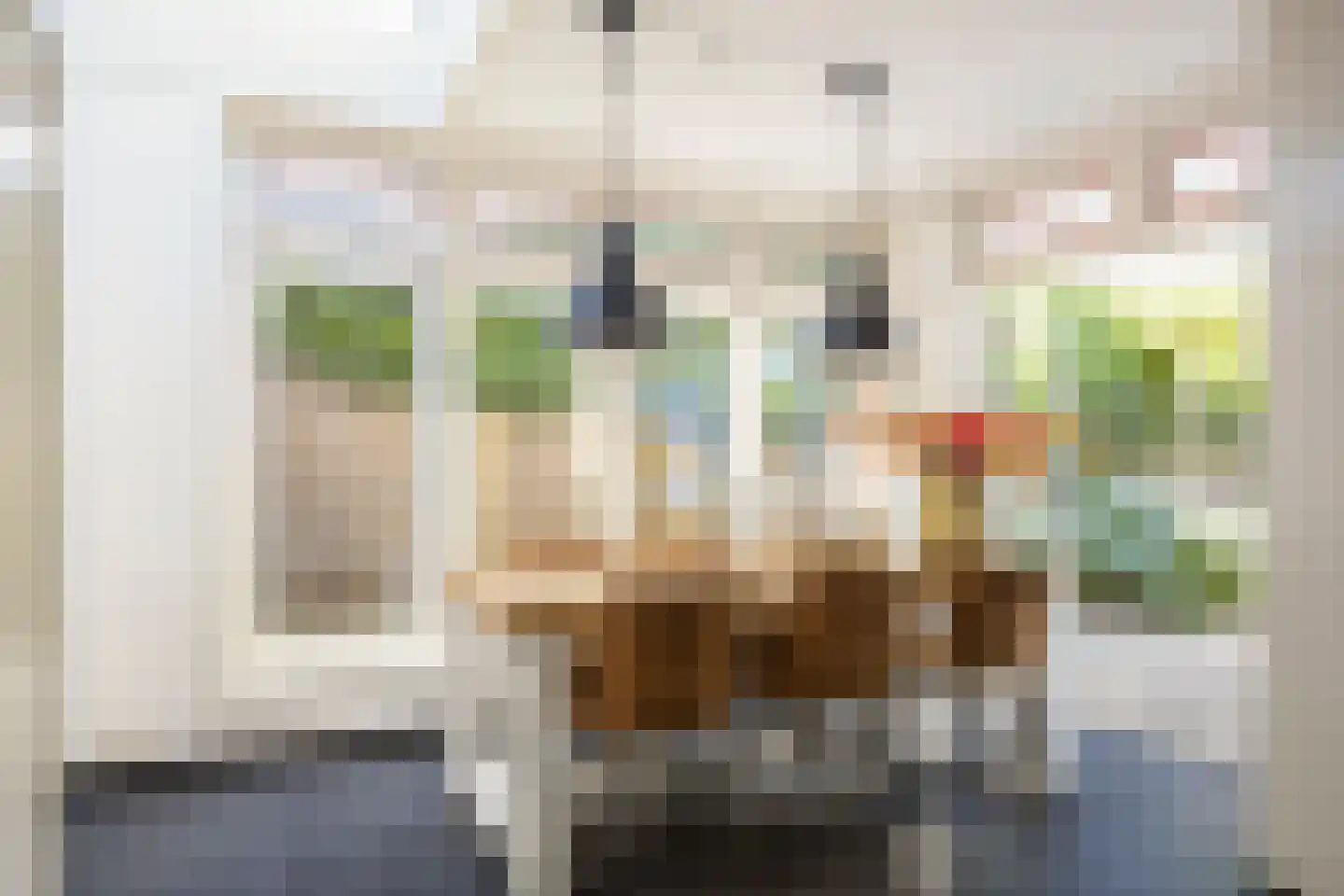 Albert Cuypstraat 9 Hengelo thumbnail 20