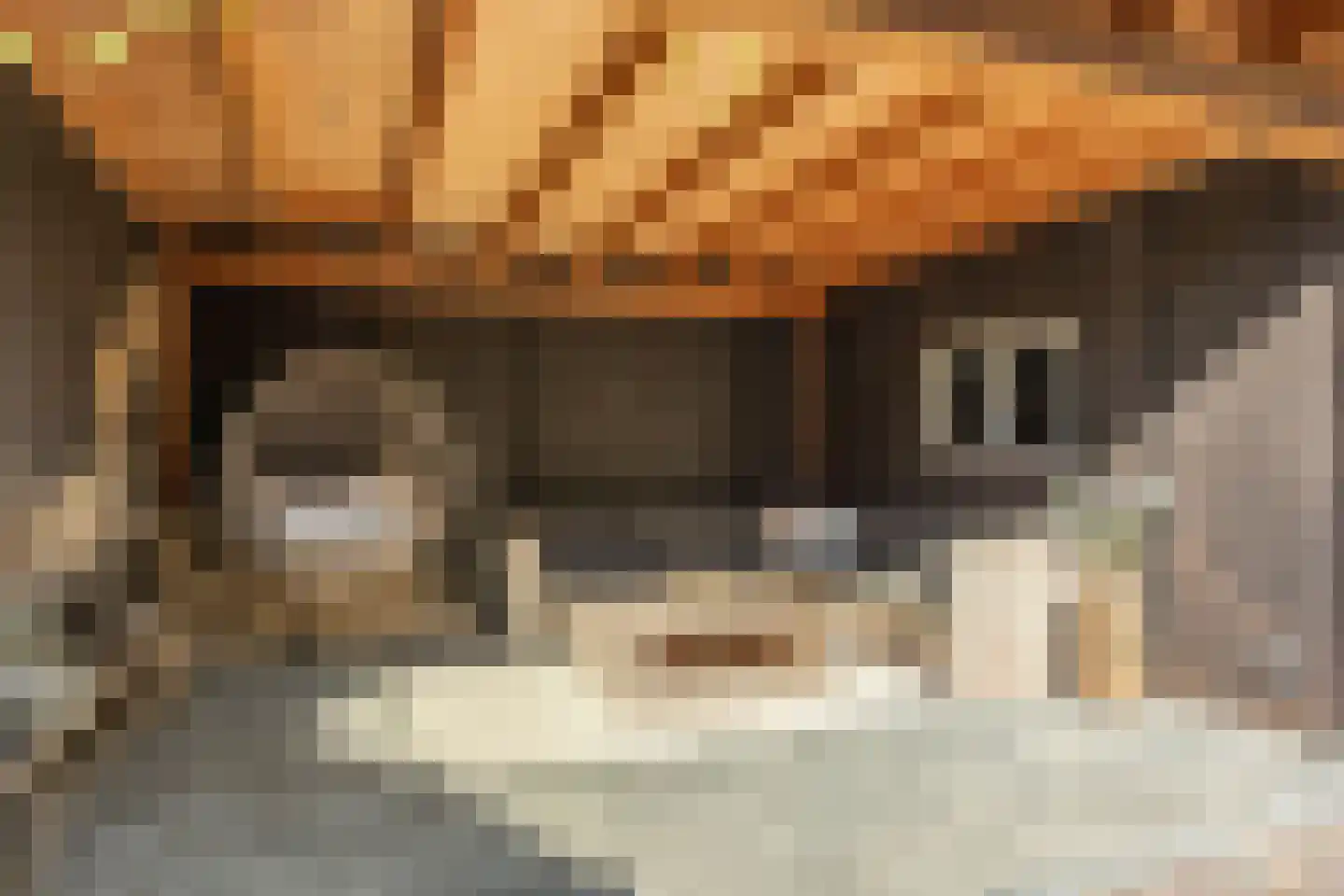 Albert Cuypstraat 9 Hengelo thumbnail 34