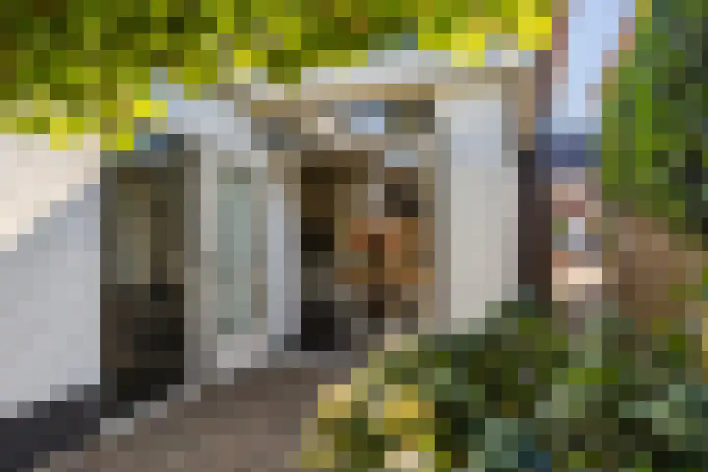 Albert Cuypstraat 9 Hengelo thumbnail 38