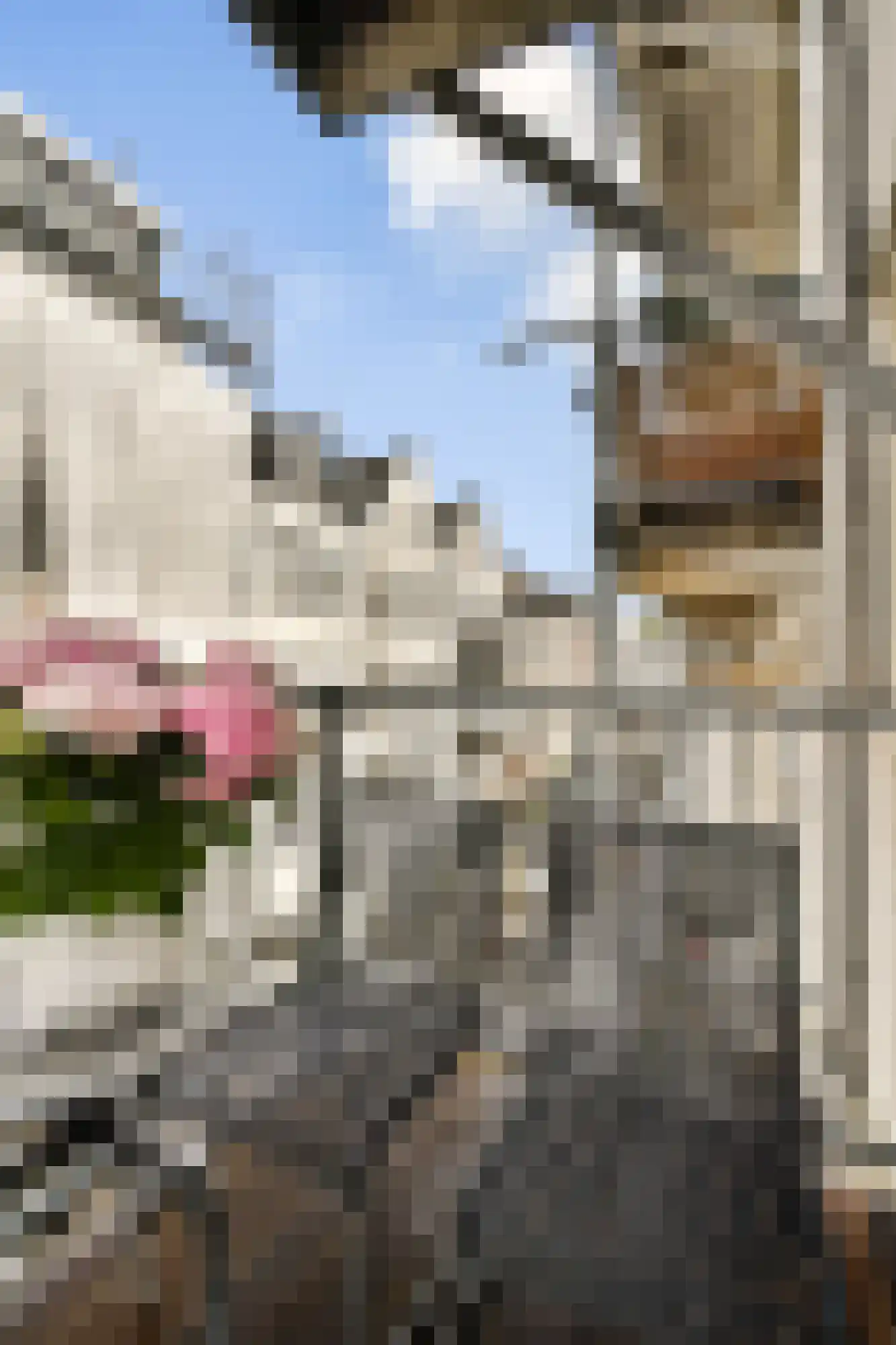 Albert Cuypstraat 99 2 Amsterdam thumbnail 11