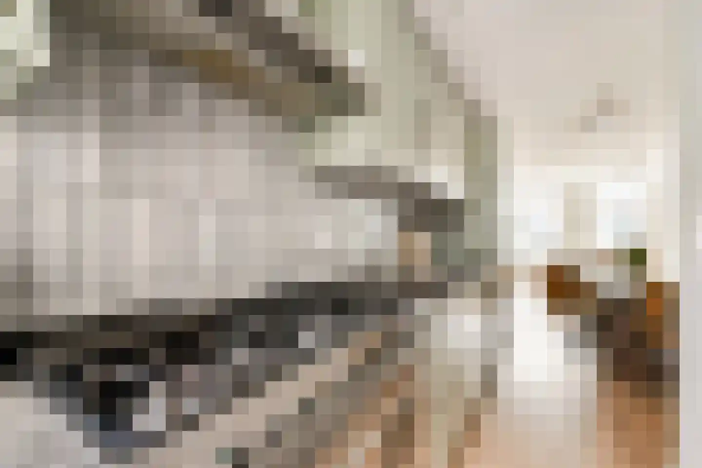Albert Cuypstraat 99 2 Amsterdam thumbnail 6