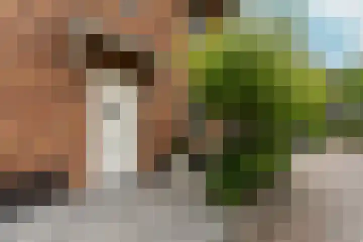 Albert Einsteinstraat 14 Almere thumbnail 10