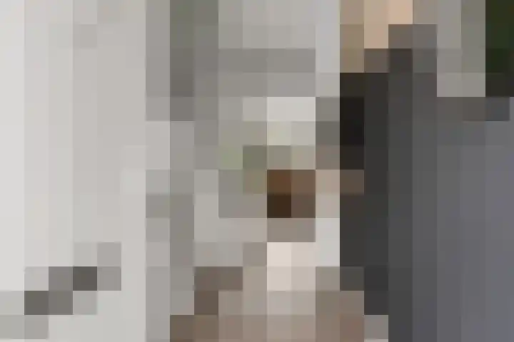 Albert Einsteinstraat 14 Almere thumbnail 11