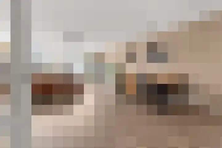 Albert Einsteinstraat 14 Almere thumbnail 12