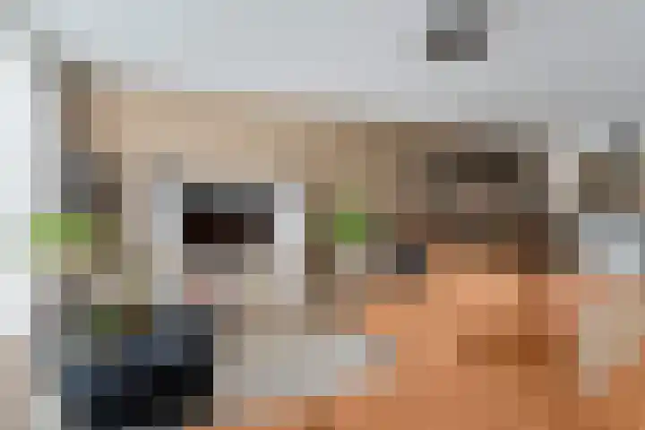 Albert Einsteinstraat 14 Almere thumbnail 14
