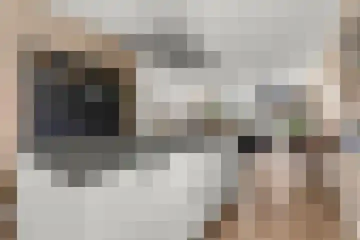Albert Einsteinstraat 14 Almere thumbnail 21