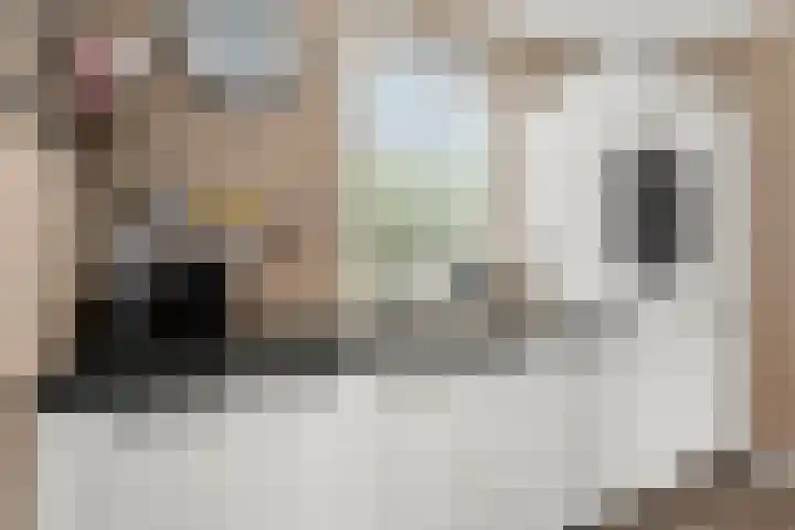Albert Einsteinstraat 14 Almere thumbnail 24