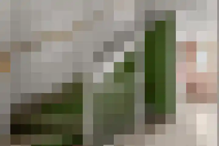 Albert Einsteinstraat 14 Almere thumbnail 26