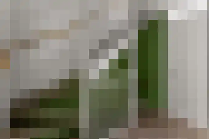 Albert Einsteinstraat 14 Almere thumbnail 40