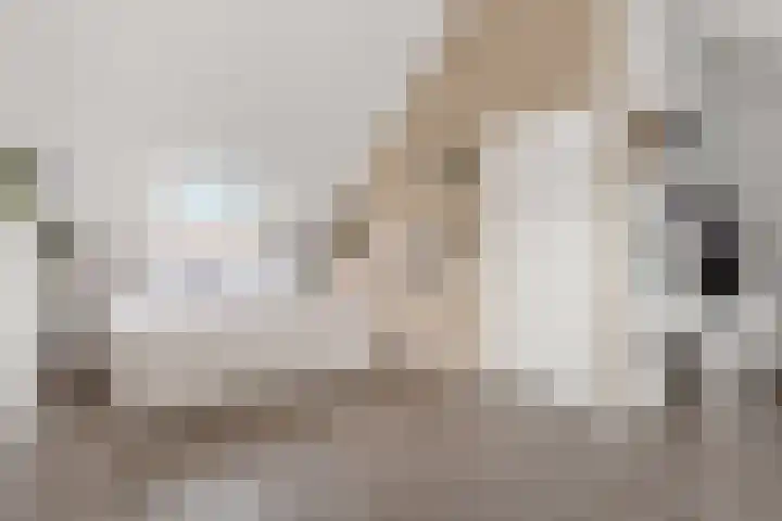 Albert Einsteinstraat 14 Almere thumbnail 43
