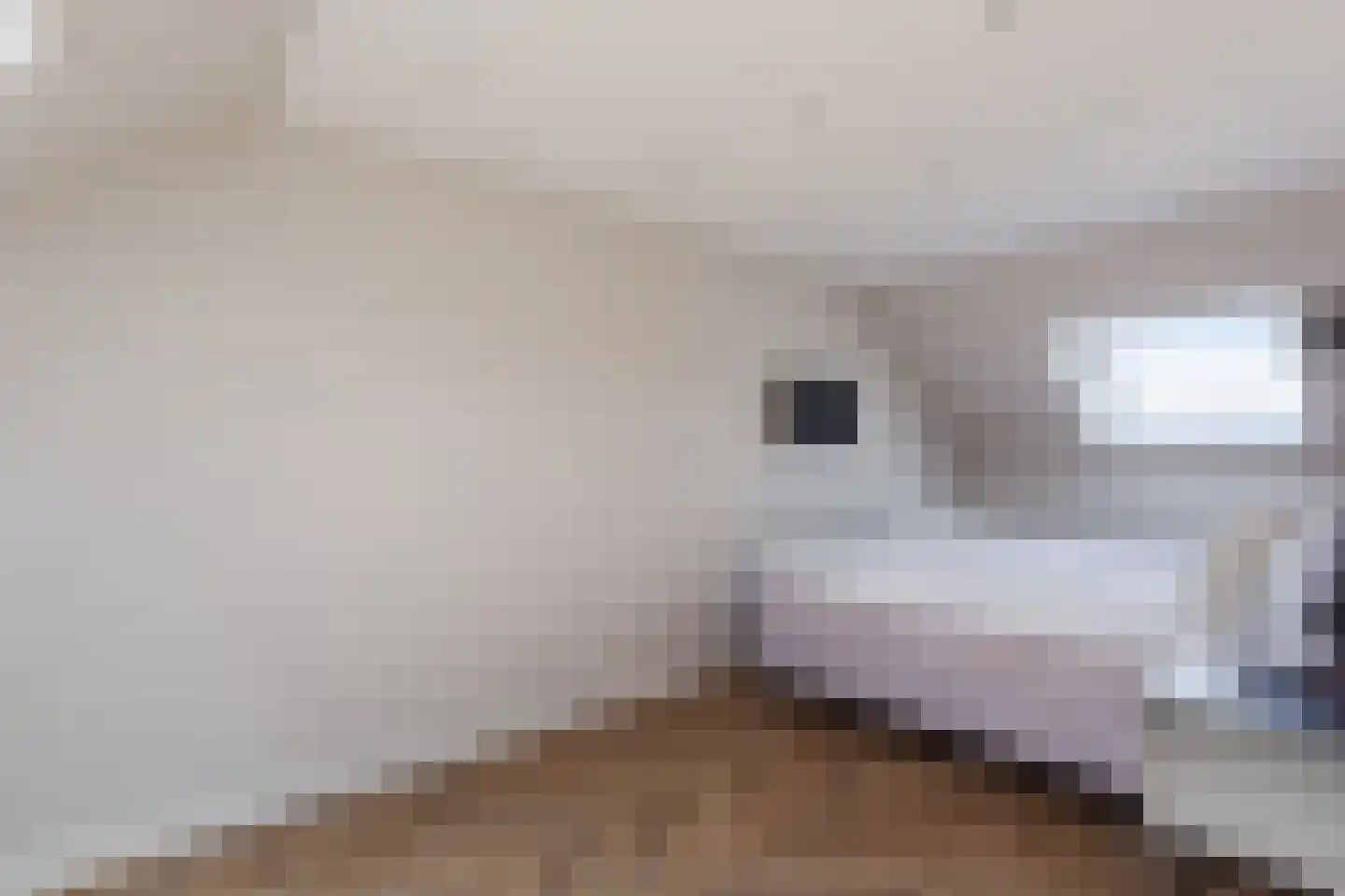 Albert Einsteinstraat 20 Almere thumbnail 33