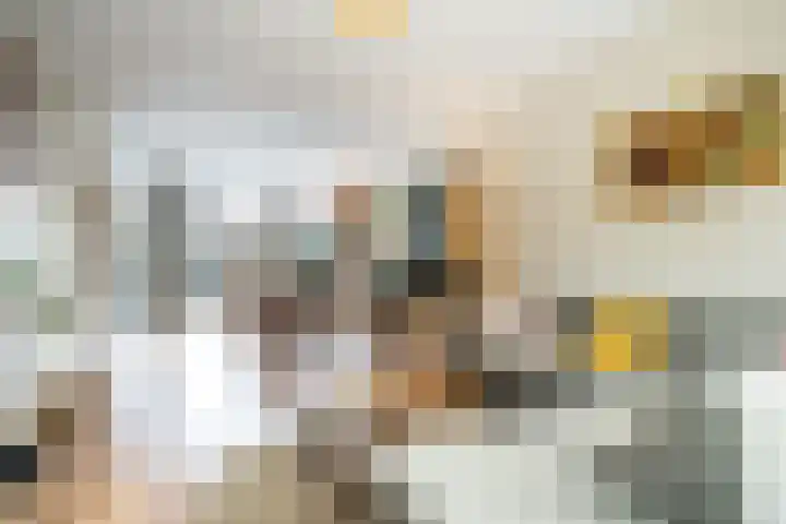 Albert Einsteinweg 10 De Bilt thumbnail 10