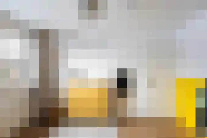 Albert Einsteinweg 10 De Bilt thumbnail 28