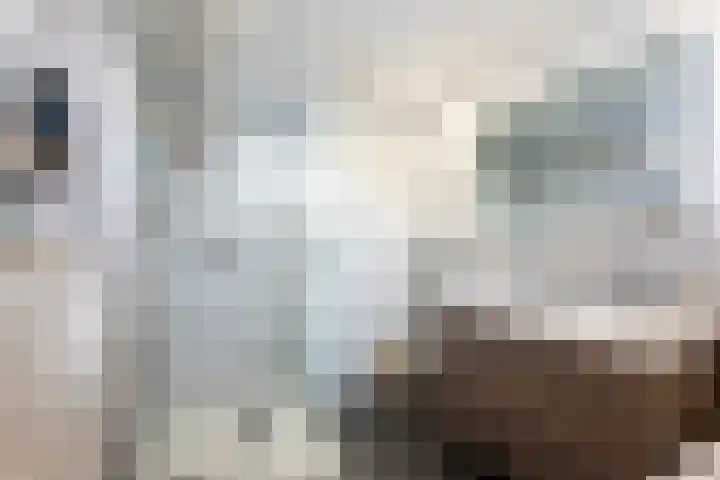 Albert Einsteinweg 10 De Bilt thumbnail 31