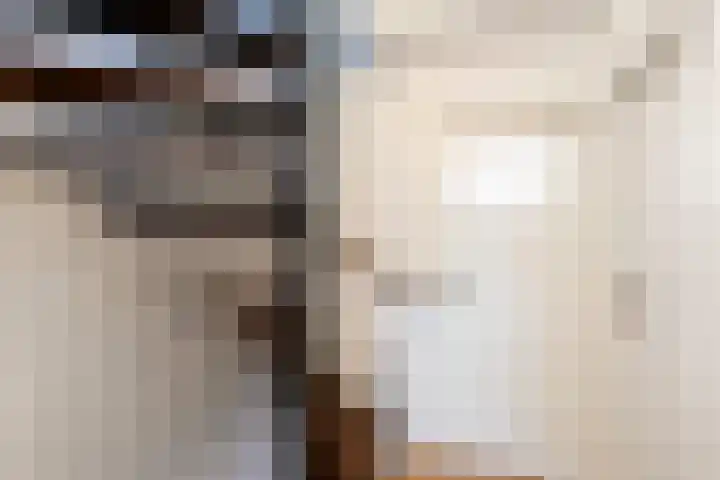 Albert Einsteinweg 10 De Bilt thumbnail 34