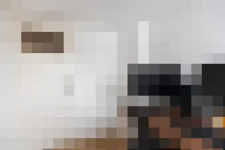Albert Einsteinweg 10 De Bilt thumbnail 36