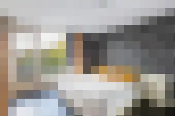 Albert Einsteinweg 14 De Bilt thumbnail 15