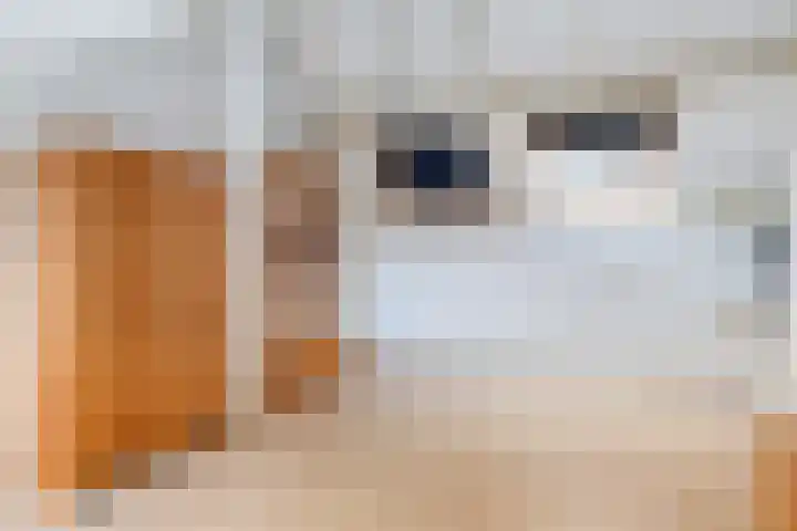 Albert Einsteinweg 14 De Bilt thumbnail 25