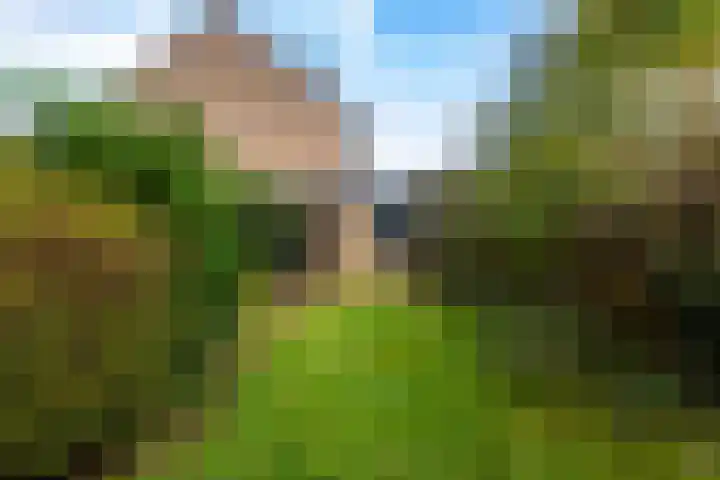 Albert Einsteinweg 14 De Bilt thumbnail 28