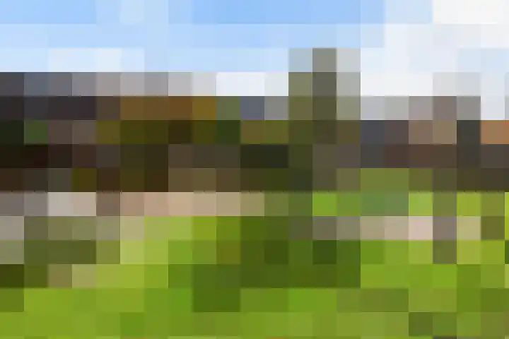 Albert Einsteinweg 14 De Bilt thumbnail 34