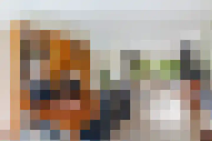Albert Einsteinweg 14 De Bilt thumbnail 9