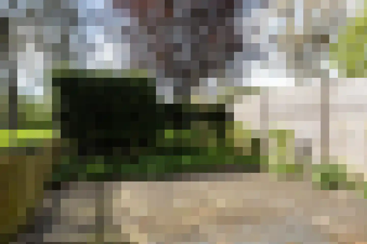 Albert Einsteinweg 21 De Bilt thumbnail 13