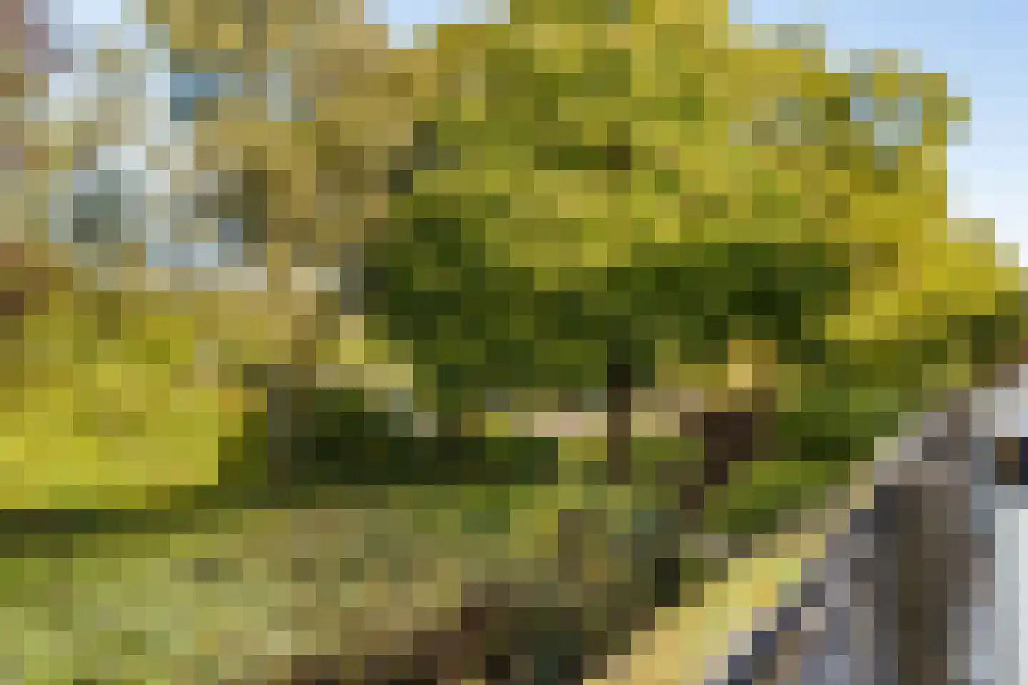Albert Einsteinweg 47 De Bilt thumbnail 20