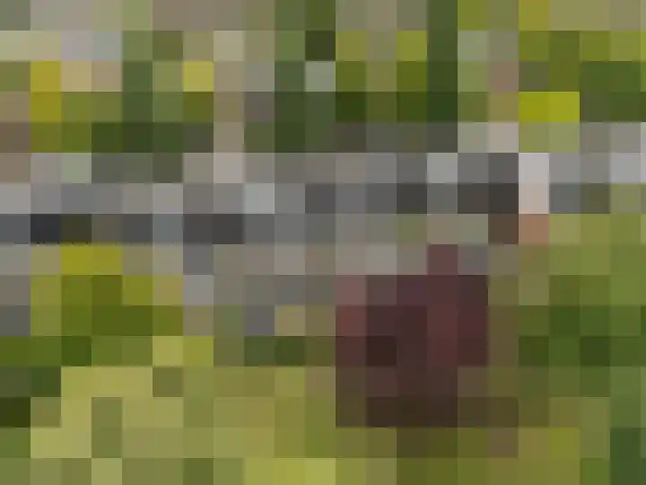 Albert Einsteinweg 49 De Bilt thumbnail 30