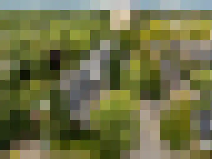 Albert Einsteinweg 49 De Bilt thumbnail 31