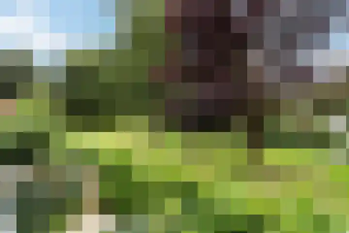 Albert Einsteinweg 49 De Bilt thumbnail 32