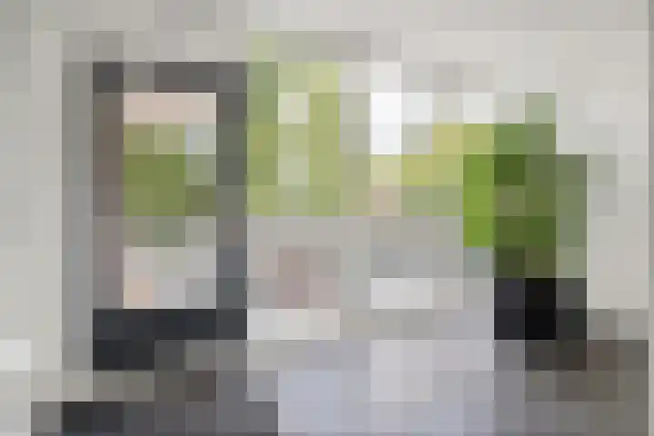 Albert Einsteinweg 49 De Bilt thumbnail 8