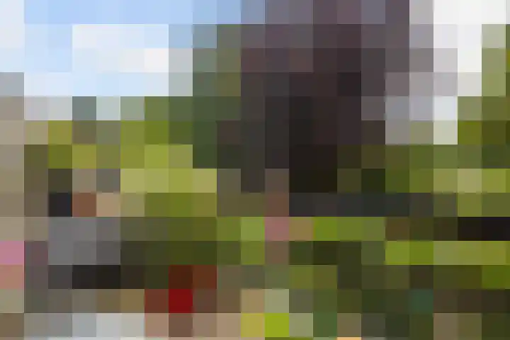 Albert Einsteinweg 51 De Bilt thumbnail 14