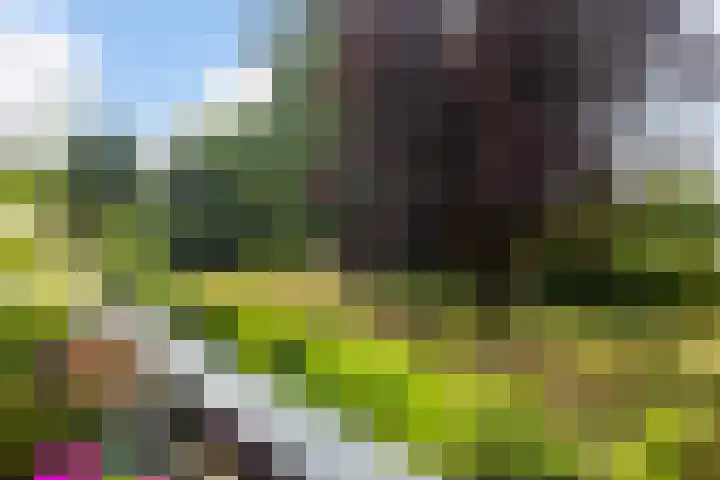 Albert Einsteinweg 51 De Bilt thumbnail 15