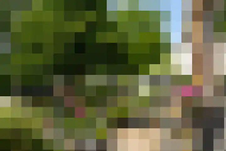 Albert Einsteinweg 51 De Bilt thumbnail 16