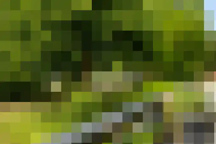 Albert Einsteinweg 51 De Bilt thumbnail 17