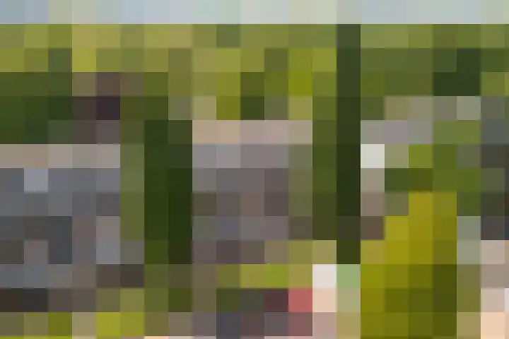 Albert Einsteinweg 51 De Bilt thumbnail 20