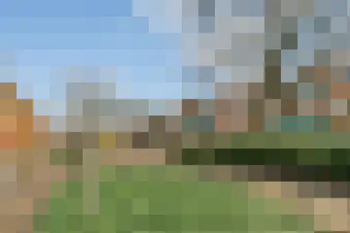 Albert Einsteinweg 51 De Bilt thumbnail 26