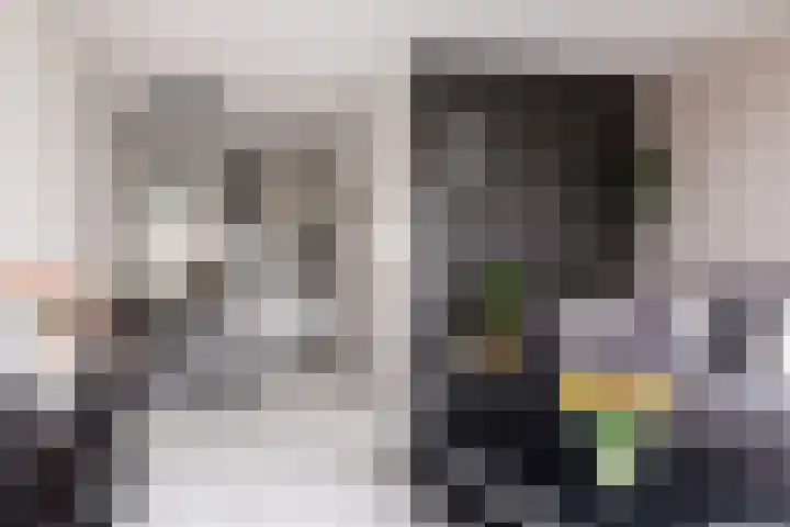 Albert Einsteinweg 93 De Bilt thumbnail 4