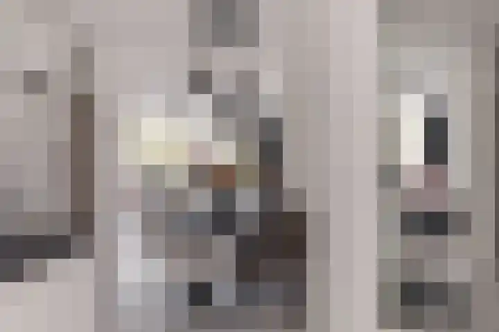 Albert Einsteinweg 93 De Bilt thumbnail 6