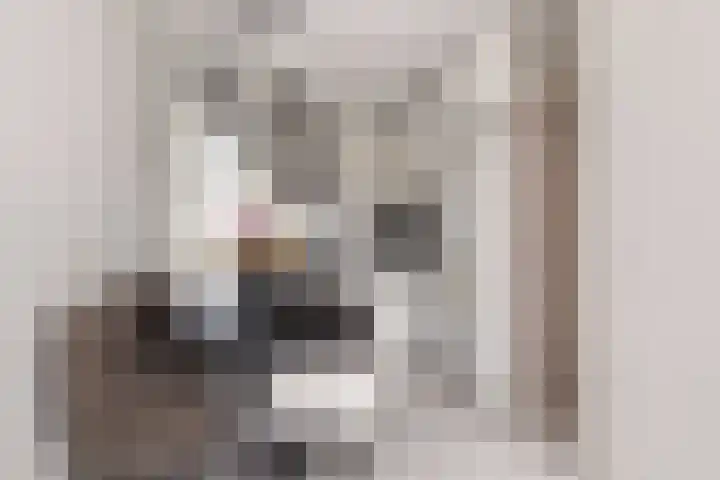 Albert Einsteinweg 93 De Bilt thumbnail 7