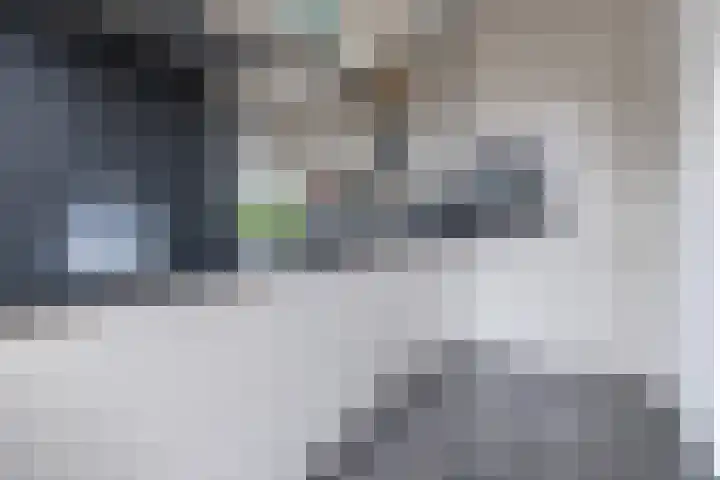 Albert Grootlaan 14 Naarden thumbnail 15