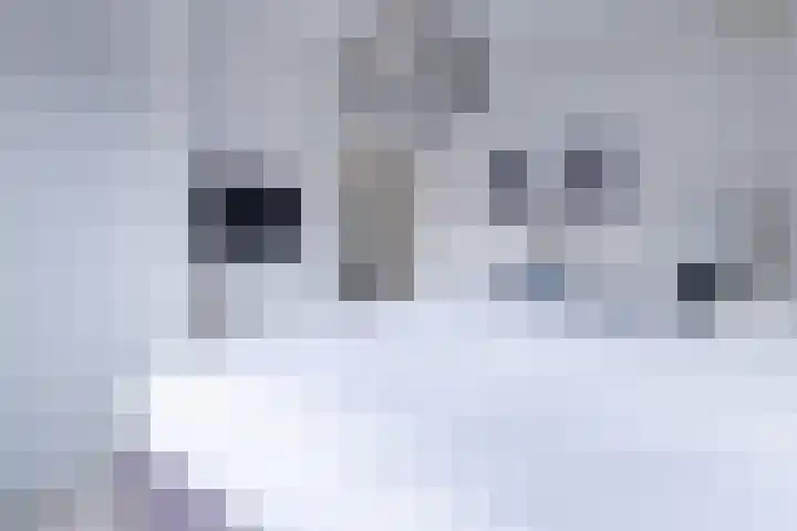 Albert Grootlaan 14 Naarden thumbnail 20