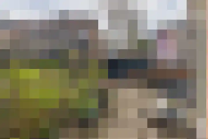 Albert Grootlaan 14 Naarden thumbnail 33
