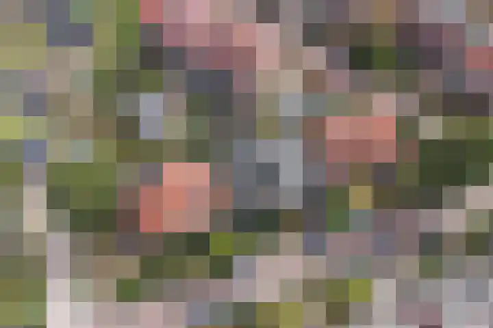 Albert Grootlaan 14 Naarden thumbnail 37