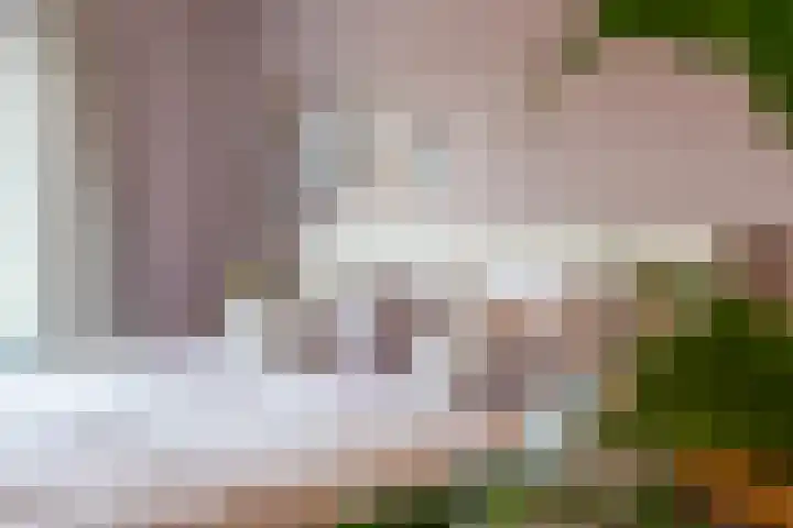 Albert Grootlaan 25 Naarden thumbnail 24