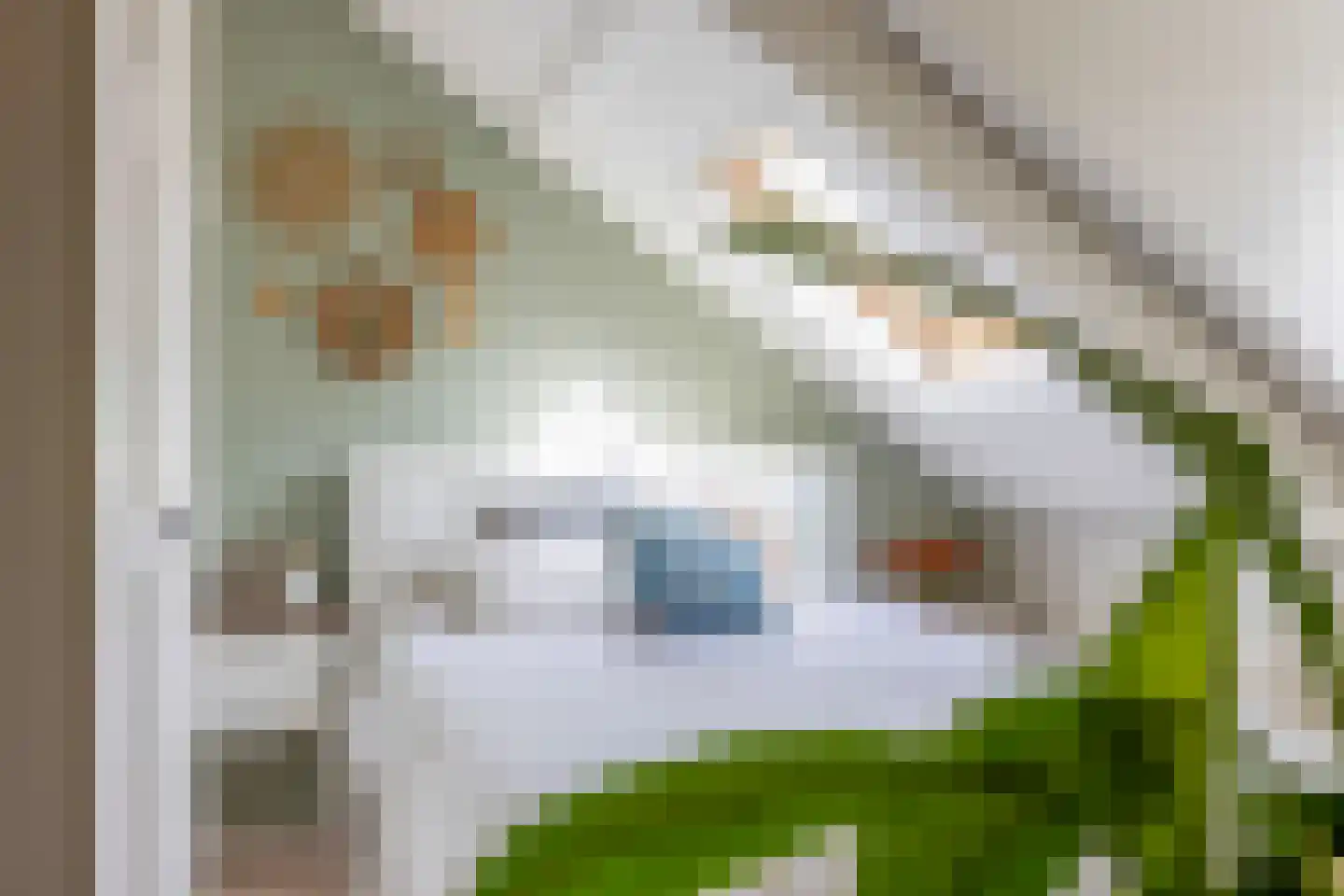 Albert Grootlaan 25 Naarden thumbnail 36