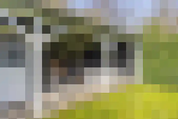 Albert Grootlaan 25 Naarden thumbnail 41
