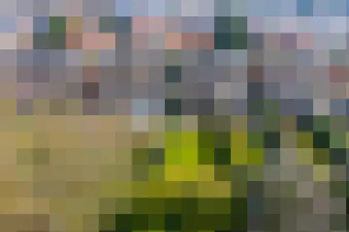 Albert Grootlaan 25 Naarden thumbnail 44