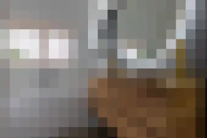 Albert Grootlaan 5 Naarden thumbnail 34