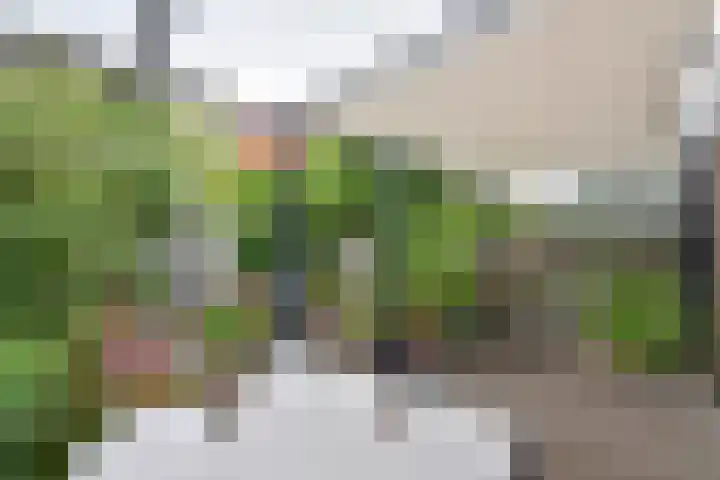 Albert Grootlaan 6 Naarden thumbnail 18